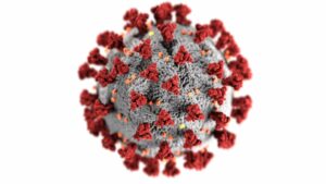 Rendered image of Coronavirus